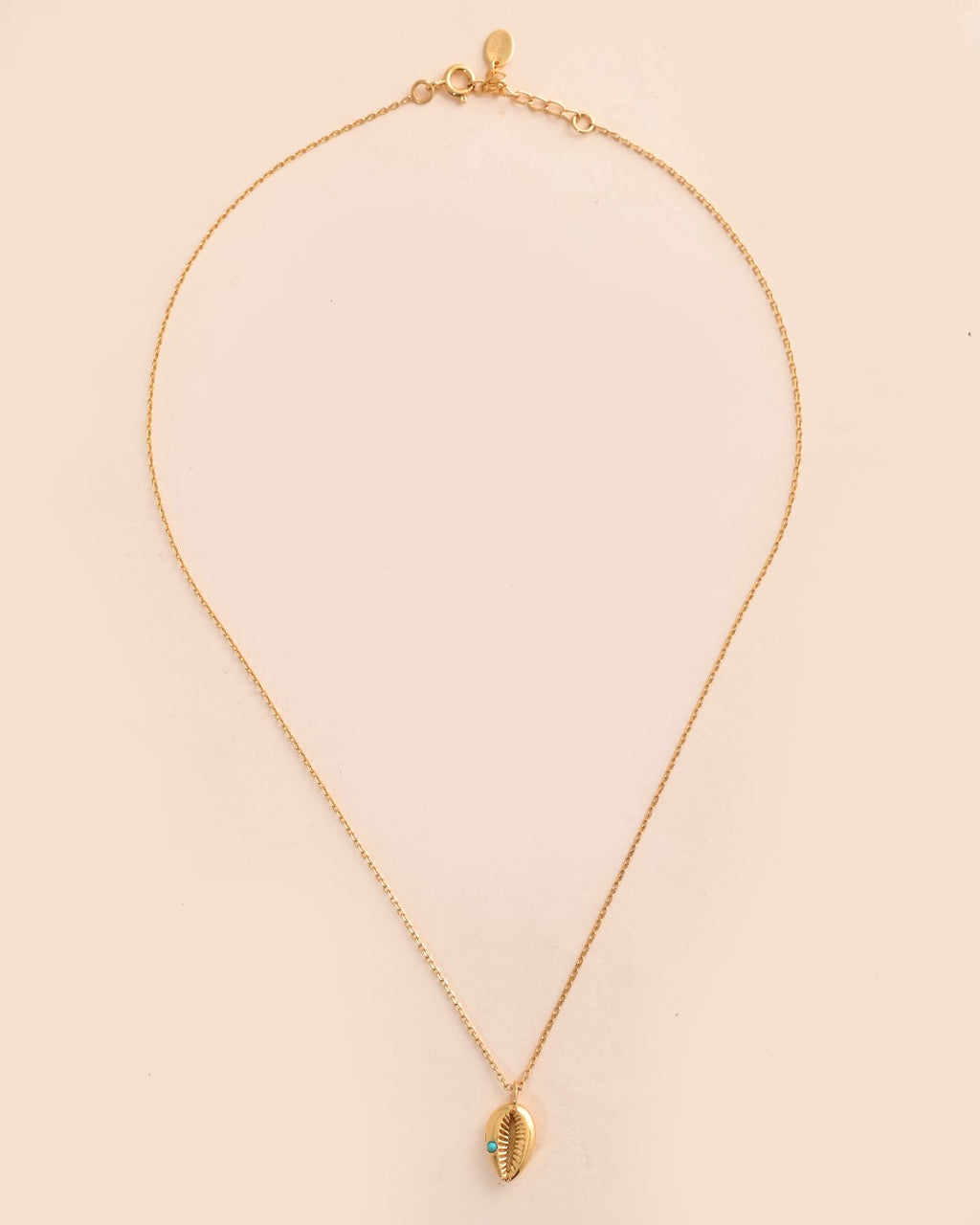 Kodi Charm Turquoise Necklace